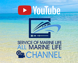 オールマリンライフチャンネル