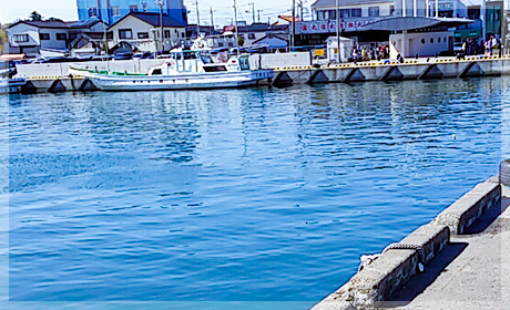 昼間に、一度、観賞する場所へ行って見ましょう！