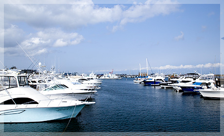 出航日の天候について確認します！