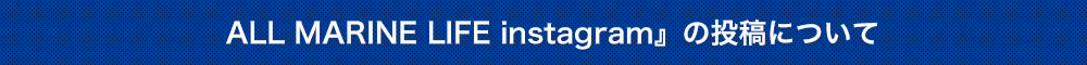 ALL MARINE LIFE instagram』の投稿について