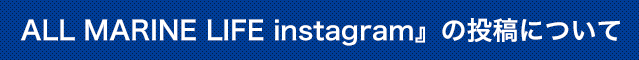 ALL MARINE LIFE instagram』の投稿について