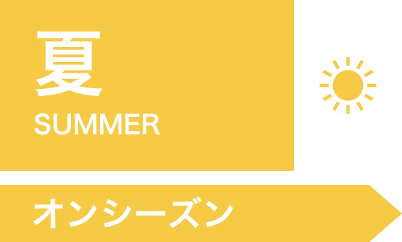 夏　オンシーズン