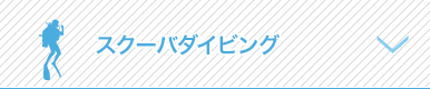 スクーバダイビング