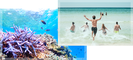 多くの人を魅了するスクーバダイビングの魅力とは？