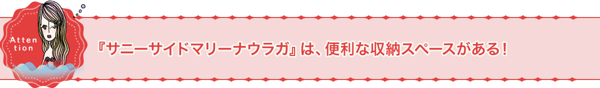 『サニーサイドマリーナウラガ』は、便利な収納スペースがある！
